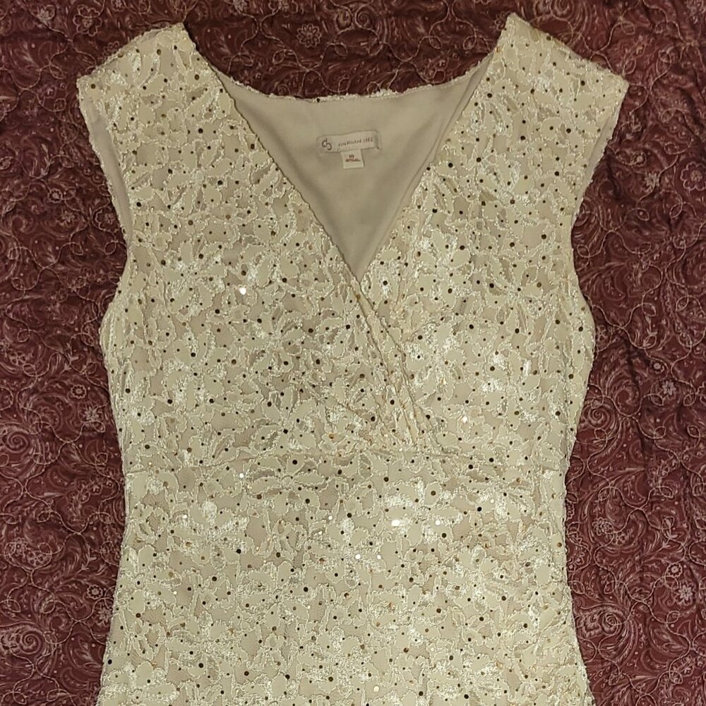 Beautiful lace and sequin dress